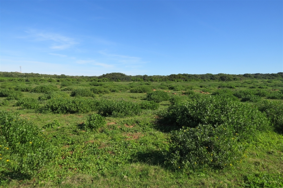0 Bedroom Property for Sale in Stilbaai Wes Western Cape